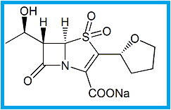 FAROPENEM SODIUM SULFONE IMPURITY